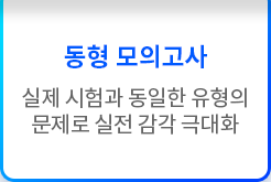 ������ ���� Ŀ��ŧ��