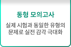 ������ ���� Ŀ��ŧ��