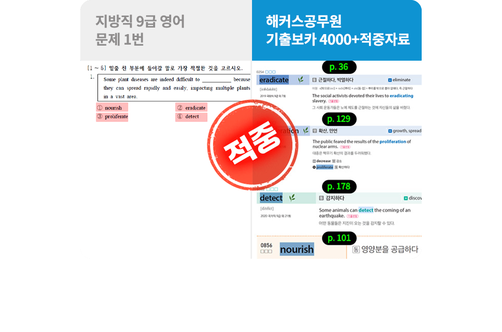 ���� ����