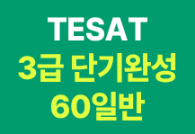 테셋 3급 단기완성 60일반(교재 미포함)