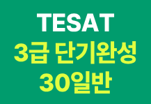 테셋 3급 단기완성 30일반(교재 미포함)