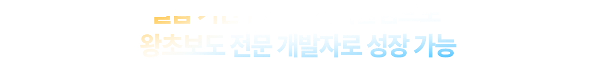 왕초보도 전문 개발자로 성장 가능
