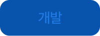 개발