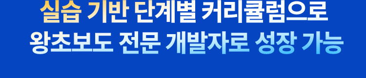 실습 기반 단계별 커리큘럼으로 왕초보도 전문 개발자로 성장 가능