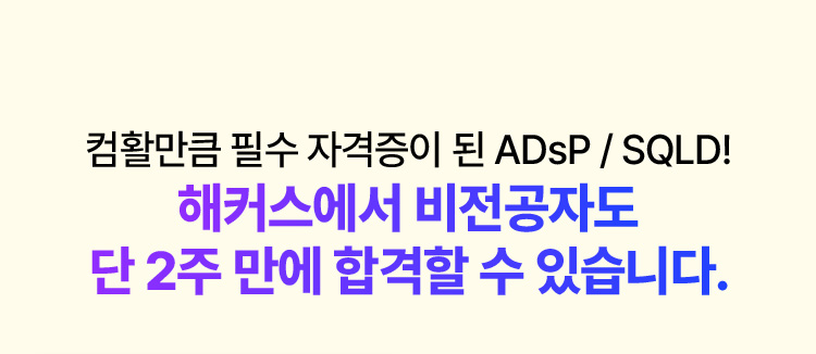 단 2주만에 합격할 수 있습니다.