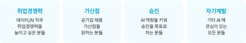 AICE 자격증 정보 이미지