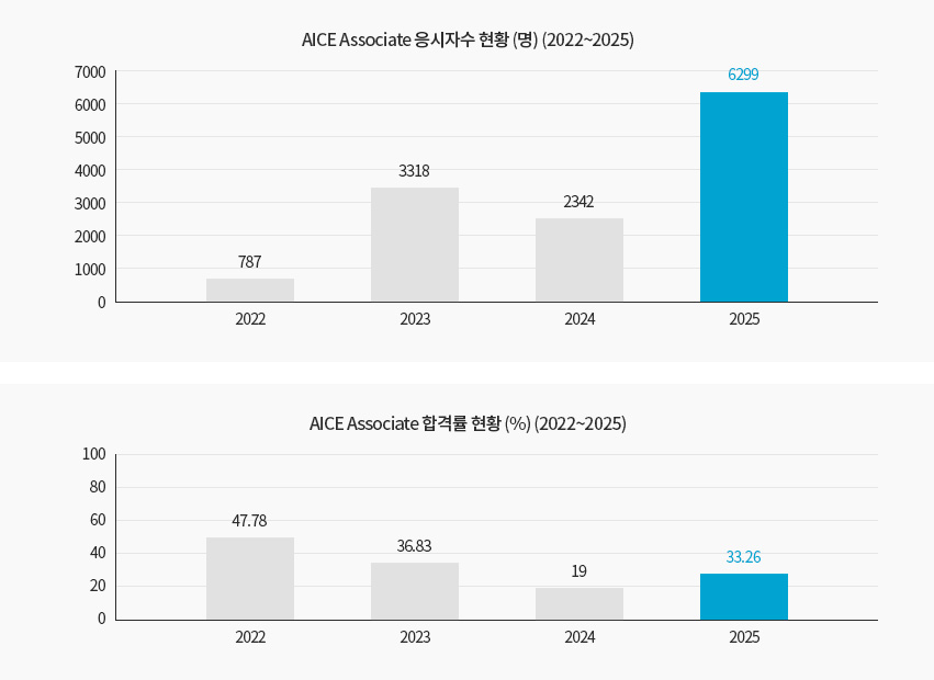 AICE 자격증 정보 이미지