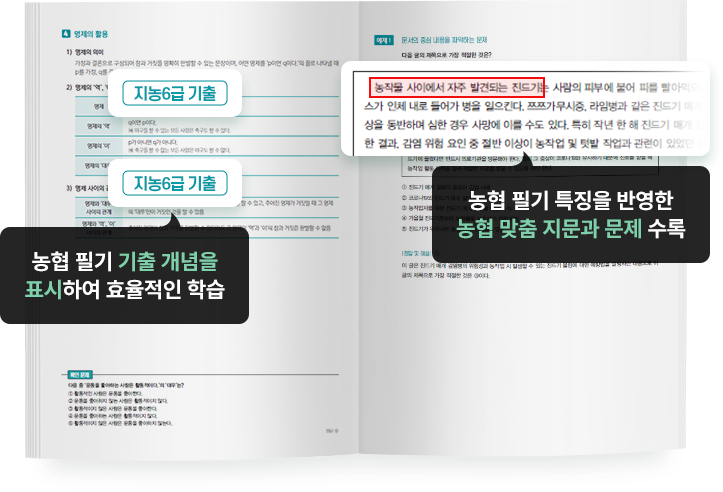 추천이유