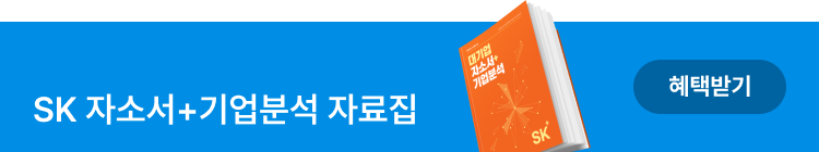 sk자소서+기업분석 자료집
