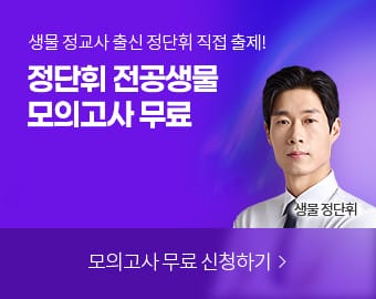 ������ ���ǰ���